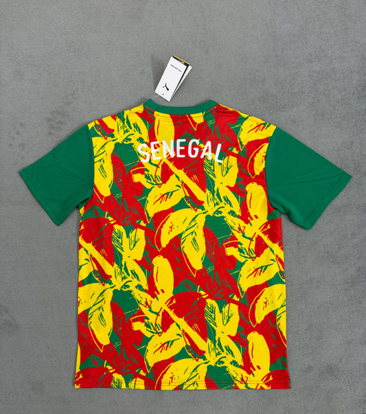 2025/26 Senegal Training