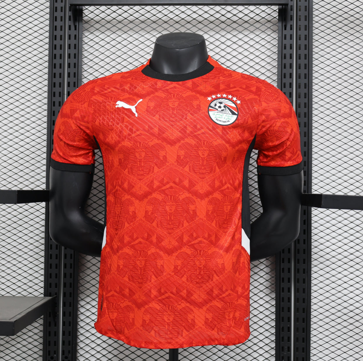 2025/26 Egypt Home