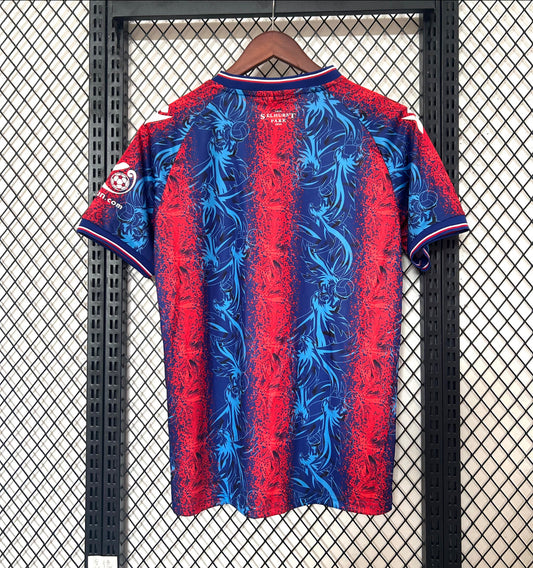 2024/25 Crystal Palace