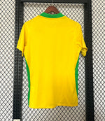 2025/26 Brazil