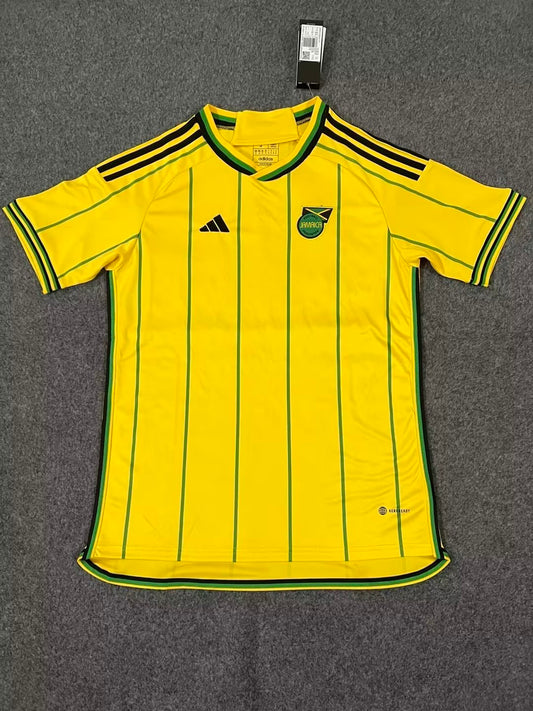 Jamaica 2022-24 Kit Home kit