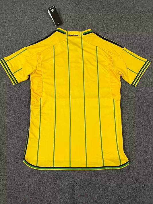 Jamaica 2022-24 Kit Home kit