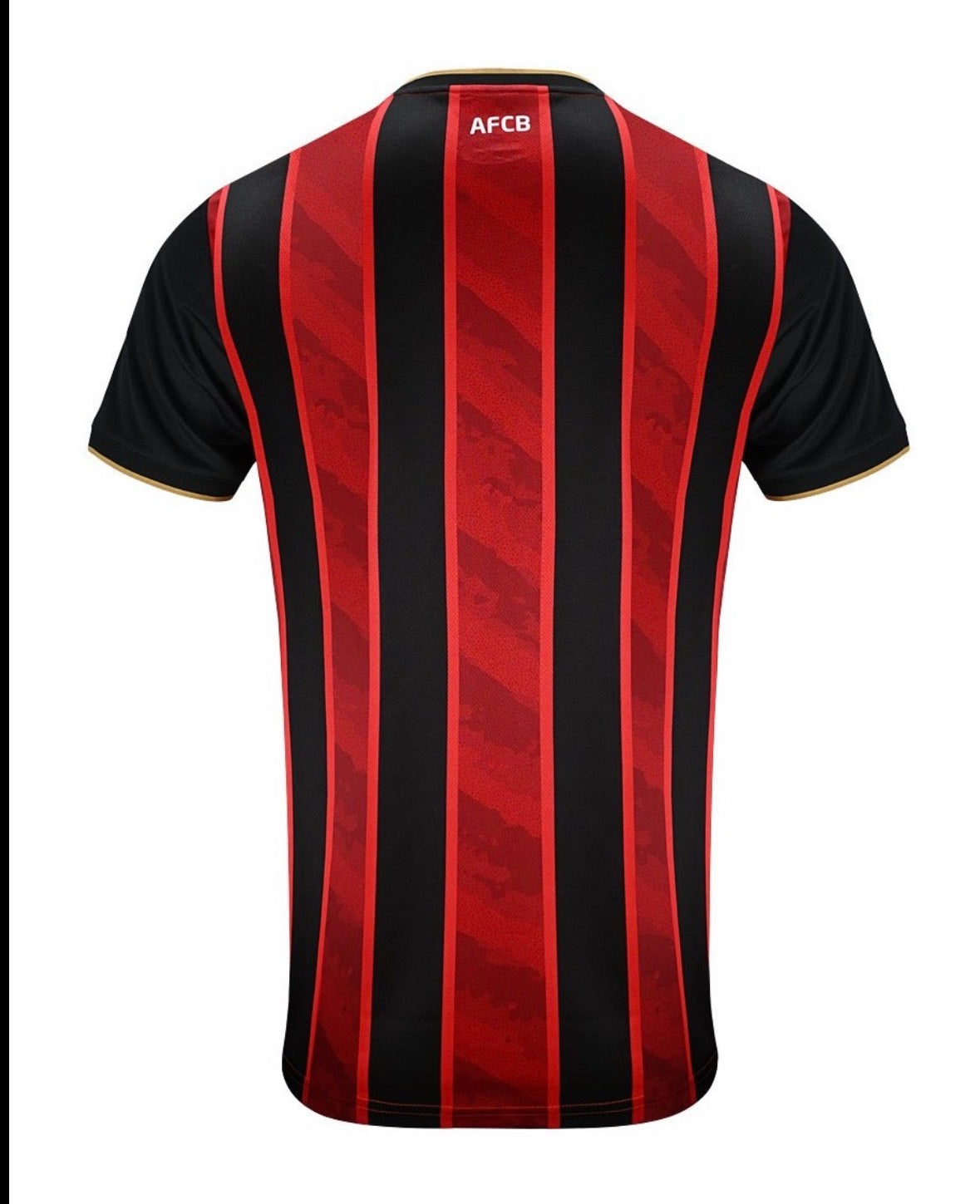 bournemouth-home-kit back