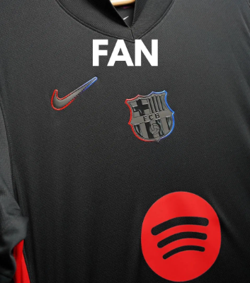 Fan Version
